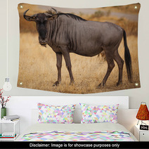 Wildebeest Close Up Looking At Camera Wall Art 57754147