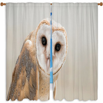 Owl Window Curtains 103314895