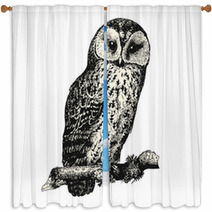 Owl Window Curtains 125298162