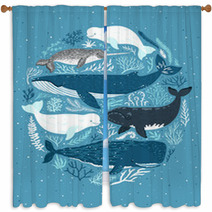 Whale Window Curtains 203637143