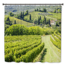 Wine Hill Italy Bath Decor 56850005