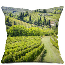 Wine Hill Italy Pillows 56850005