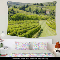 Wine Hill Italy Wall Art 56850005