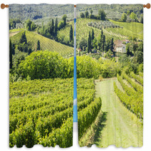 Wine Hill Italy Window Curtains 56850005