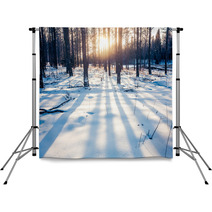 Winter Forest In China Backdrops 67361236