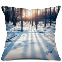 Winter Forest In China Pillows 67361236