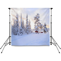 Winter Landscape Backdrops 67524069