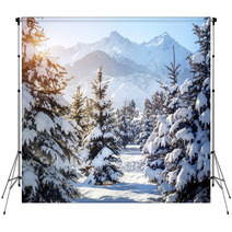 Winter Mountain Scenery Backdrops 60935824