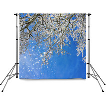 Winter Scenery Backdrops 57052481