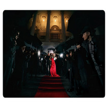 Woman In Red Dress On The Red Carpet Photos Of Paparazzi Rugs 75451548