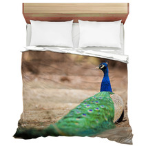 Wonderful Peacock Bedding 65407892