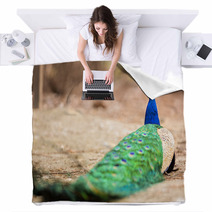 Wonderful Peacock Blankets 65407892