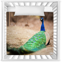 Wonderful Peacock Nursery Decor 65407892