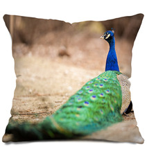 Wonderful Peacock Pillows 65407892