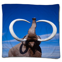 Woolly Mammoth Blankets 28939871