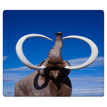 Woolly Mammoth Rugs 28939871
