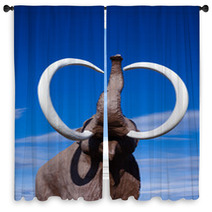 Woolly Mammoth Window Curtains 28939871