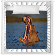 Yawning Hippopotamus Nursery Decor 48681823