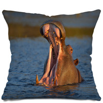 Yawning Hippopotamus Pillows 48681823