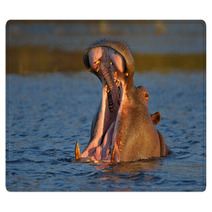 Yawning Hippopotamus Rugs 48681823