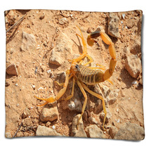 Yellow Scorpion Blankets 70791084
