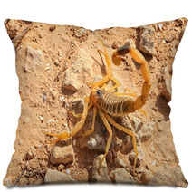Yellow Scorpion Pillows 70791084