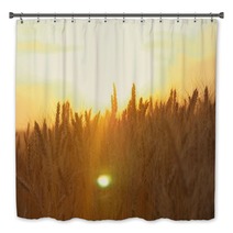 Yellow Wheat Spike Close Up In Sunlight Glint At Sunset Bath Decor 171068621
