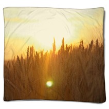 Yellow Wheat Spike Close Up In Sunlight Glint At Sunset Blankets 171068621