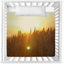 Yellow Wheat Spike Close Up In Sunlight Glint At Sunset Nursery Decor 171068621