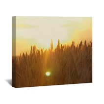 Yellow Wheat Spike Close Up In Sunlight Glint At Sunset Wall Art 171068621