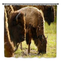 Yellowstone American Bison Bath Decor 53462778