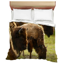 Yellowstone American Bison Bedding 53462778