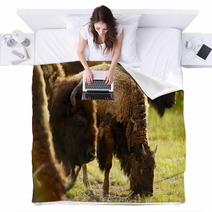 Yellowstone American Bison Blankets 53462778