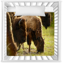 Yellowstone American Bison Nursery Decor 53462778