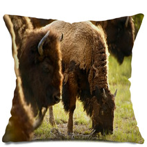 Yellowstone American Bison Pillows 53462778