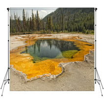 Yellowstone Heat Pool Near Geyser Backdrops 70651541