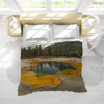 Yellowstone Heat Pool Near Geyser Bedding 70651541