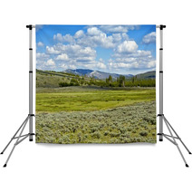 Yellowstone Landscape Backdrops 54825983