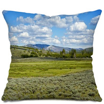 Yellowstone Landscape Pillows 54825983