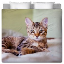 Young Cat Bedding 51371696