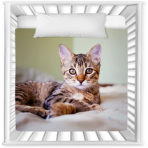 Young Cat Nursery Decor 51371696