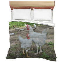 Young Cocks 1 Bedding 100703091
