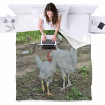Young Cocks 1 Blankets 100703091
