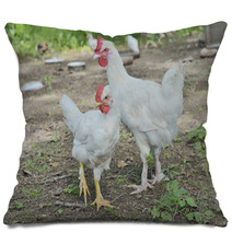 Young Cocks 1 Pillows 100703091