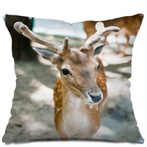 Young Deer Pillows 55621447