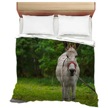 Young Donkey Portrait On A Sunny Day Bedding 99951480