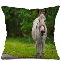 Young Donkey Portrait On A Sunny Day Pillows 99951480