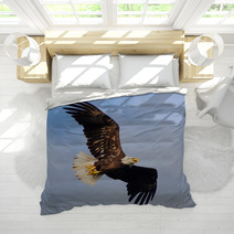 Young Eagle Flying Bedding 67987501