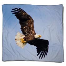 Young Eagle Flying Blankets 67987501