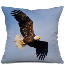 Young Eagle Flying Pillows 67987501